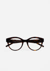 Danvers Dark Havana Matte