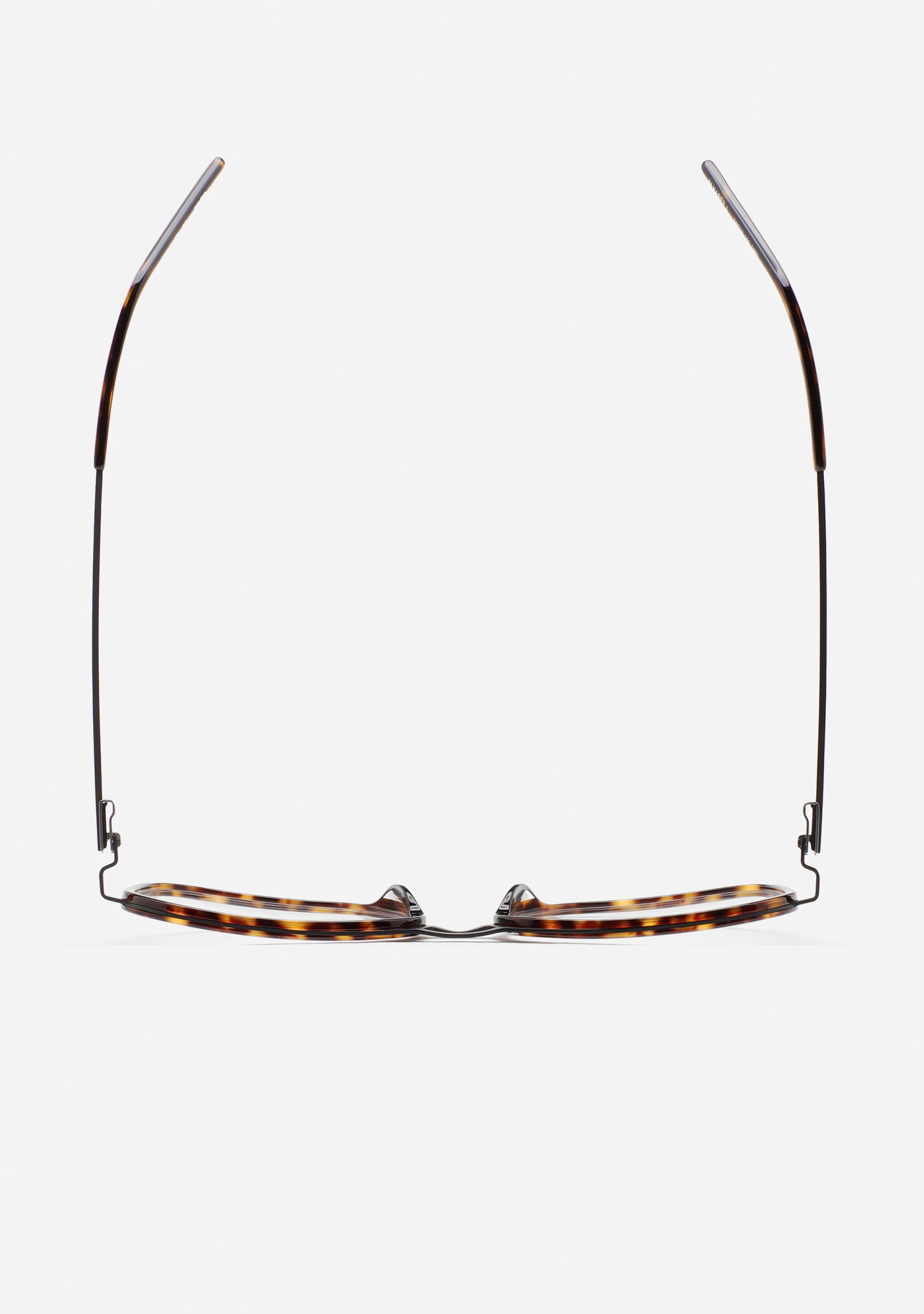 A029003 - A029003-2.jpg