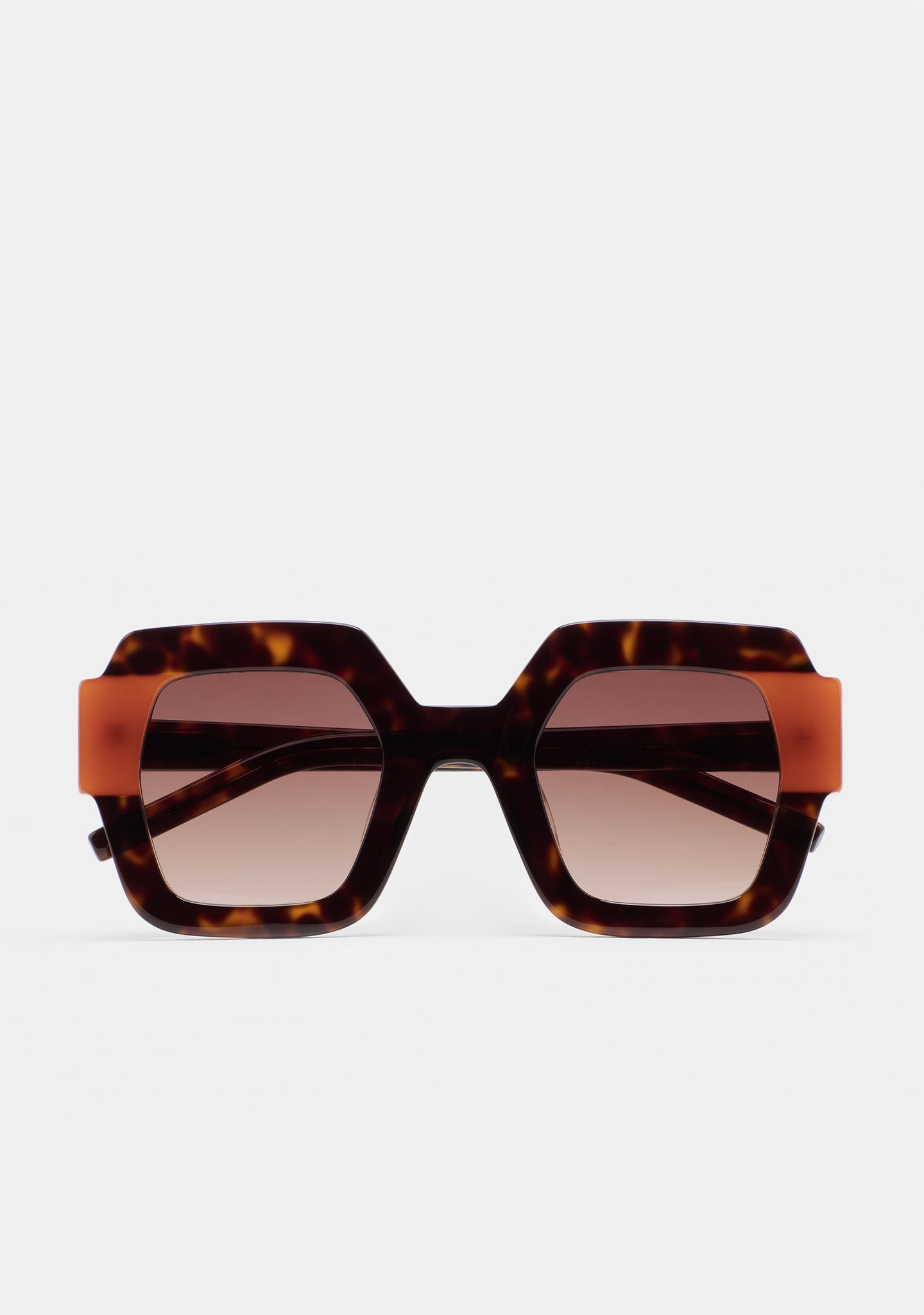 Lupoli Dark Havana