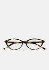 Bisset Spotted Havana
